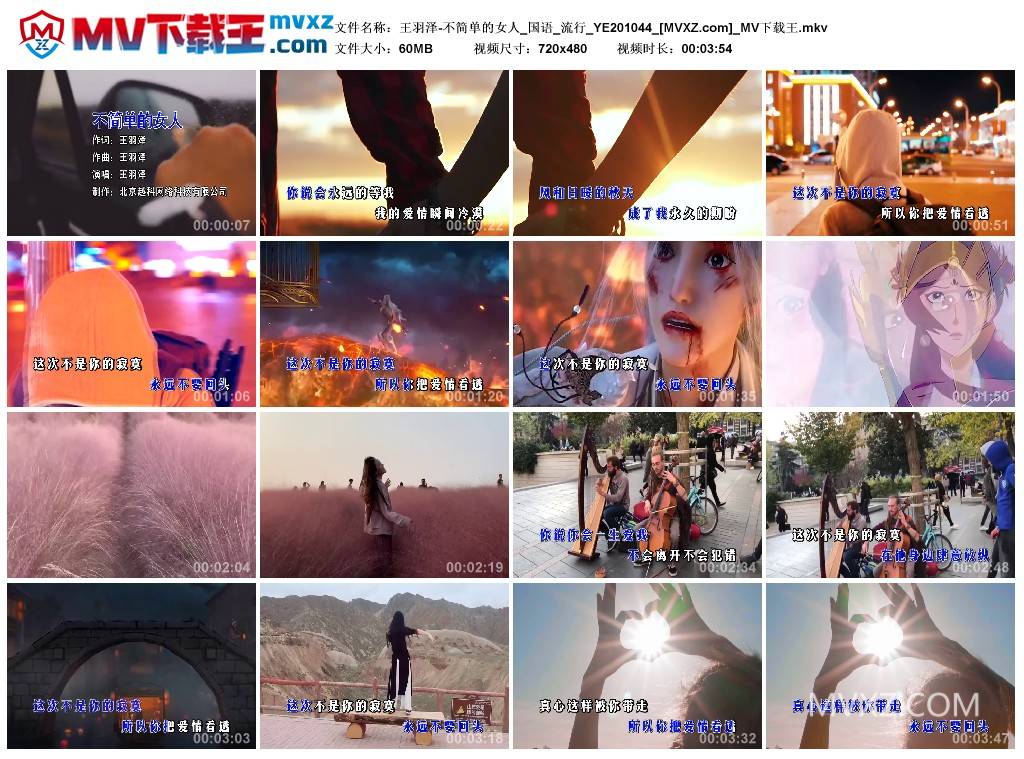 王羽泽-不简单的女人_国语_流行_YE201044